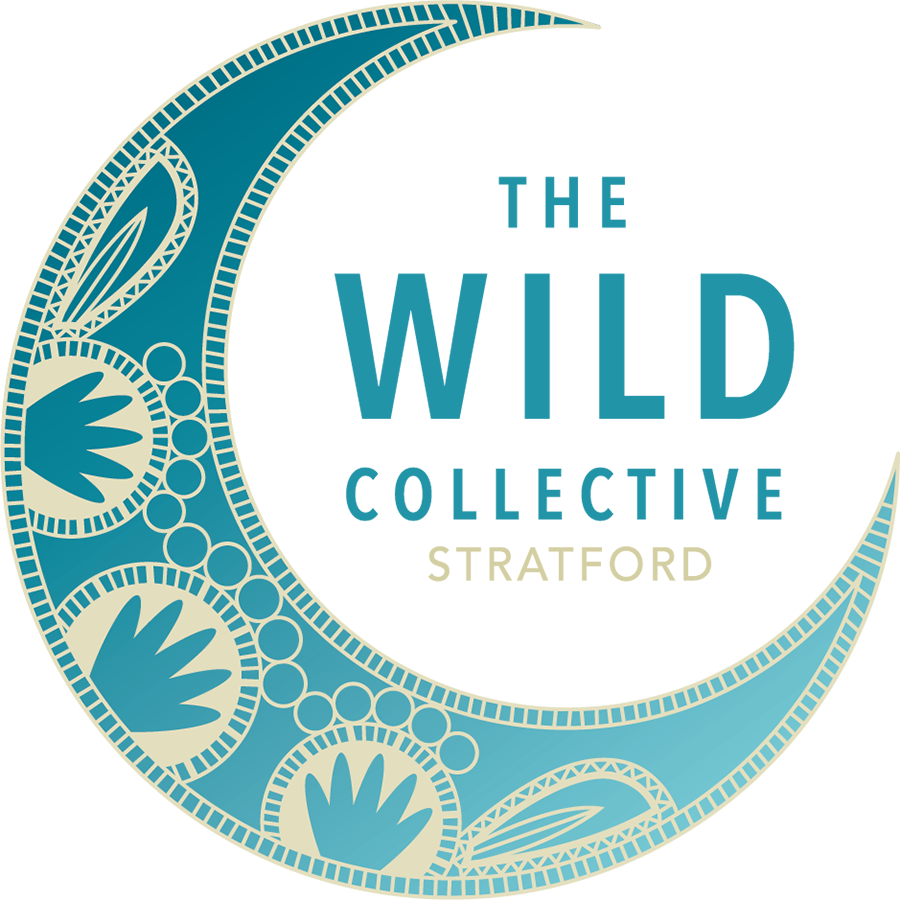 Wild collection. Spring collection logo. New collection Spring.